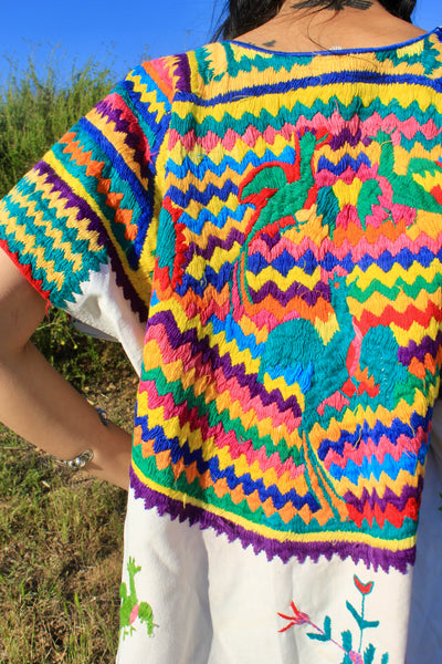 1970s One of A Kind Hand Embroidered San Mateo Huipil Dress main image 0