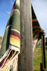 Mexican Saltillo Blanket "Hunter Green" Mid Century Beauty