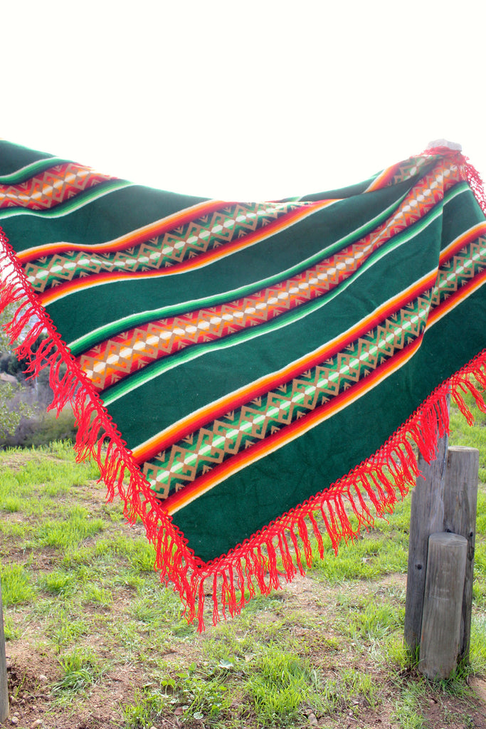 Mid Century Beaver State Pendleton Blanket